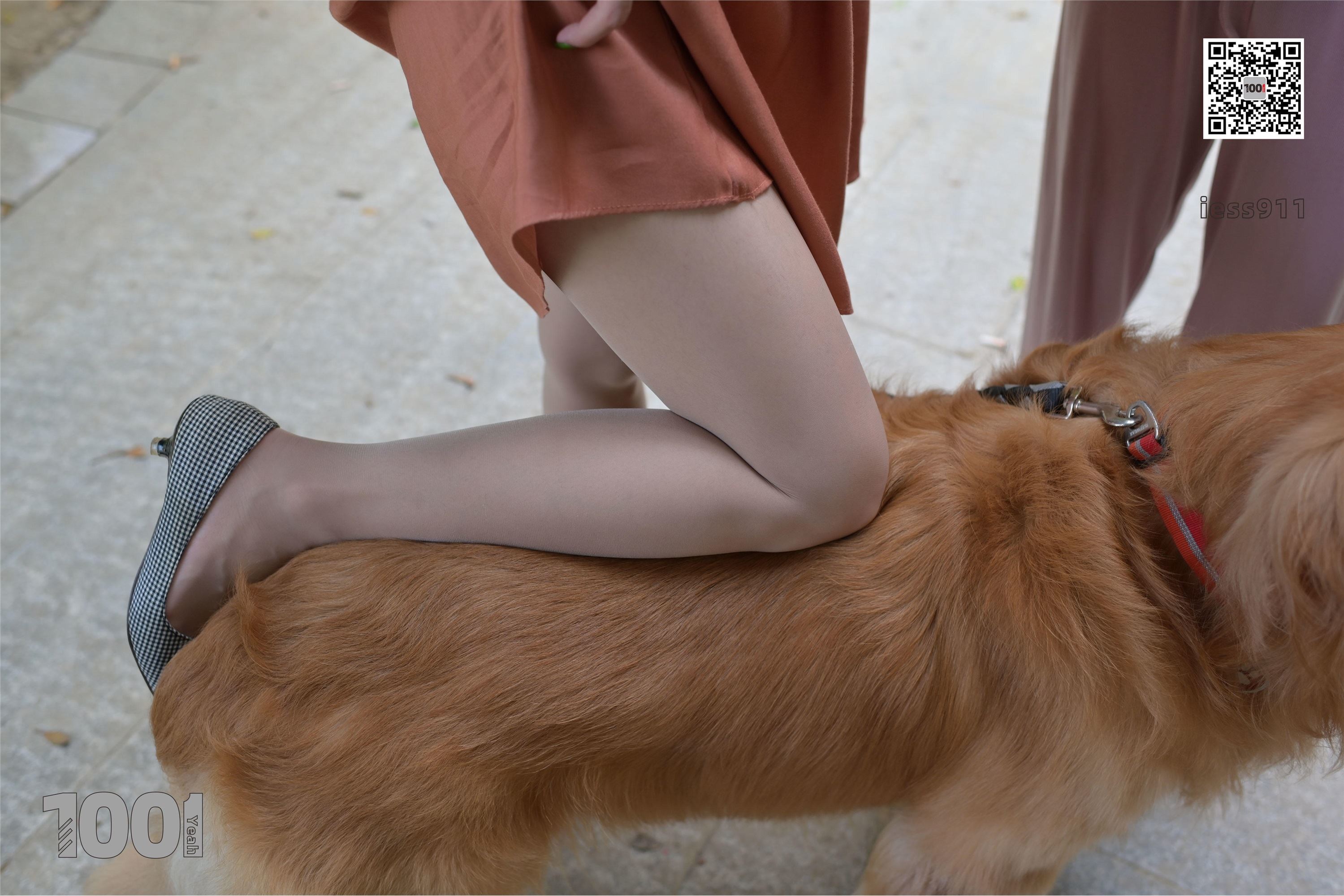 IESS异思趣向 一千零一夜 模特：真真《家有萌宠1》